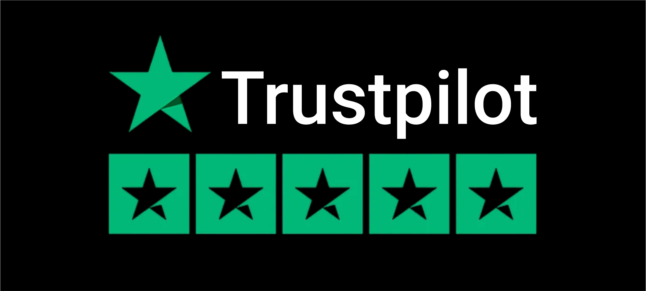 Top-rated Trustpilot reviews for a trusted SEO expert in Chennai